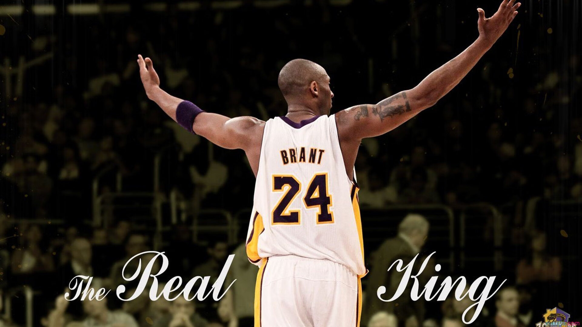 机器人竞赛掀起科技体育新热潮，全球战队角逐智能巅峰-彩经网app